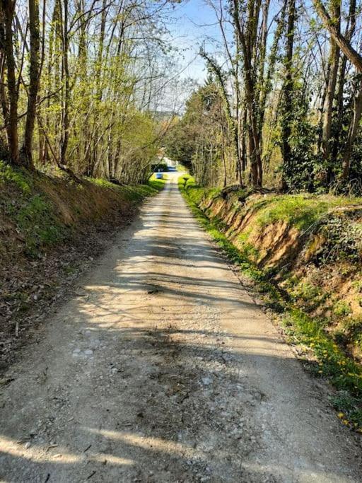 *Gite Aux Grappes Du Pressoir* A 2 Km De Beauval Seigy エクステリア 写真