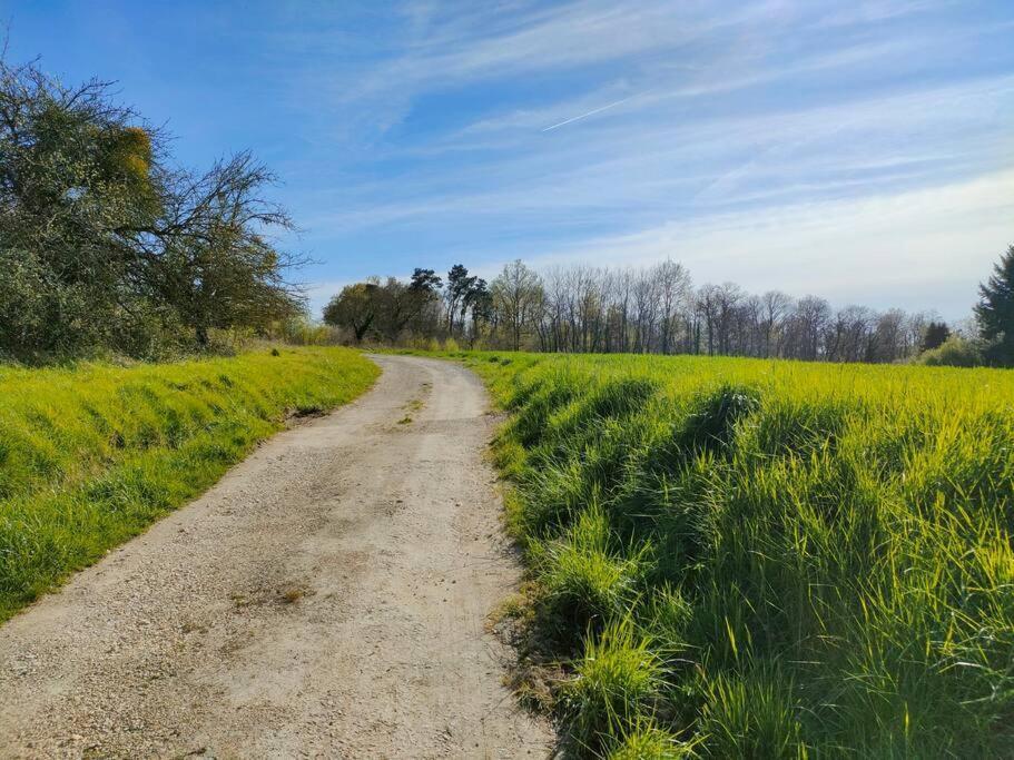 *Gite Aux Grappes Du Pressoir* A 2 Km De Beauval Seigy エクステリア 写真