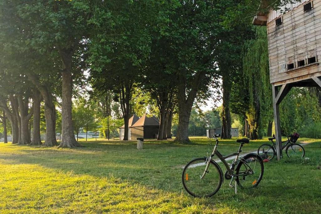 *Gite Aux Grappes Du Pressoir* A 2 Km De Beauval Seigy エクステリア 写真